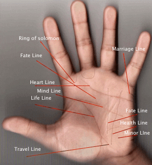 hand-reading-lines