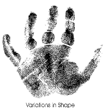 Hand-Shapes-and-Meanings-in-Palmistry