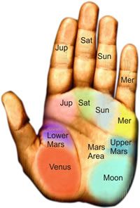 Palm Reading – The Hand And Diseases