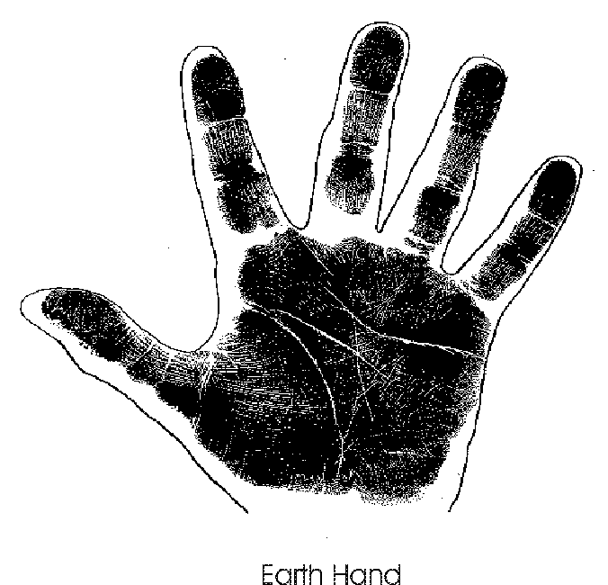 Earth Hands Palmistry Types of Palm and Hand shape Meaning